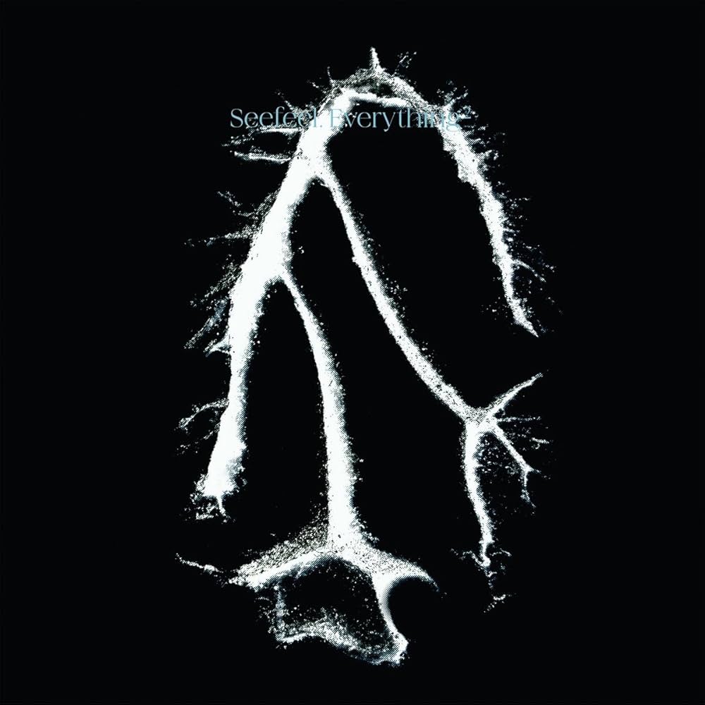 Seefeel - Everything Squared - Amazon.com Music